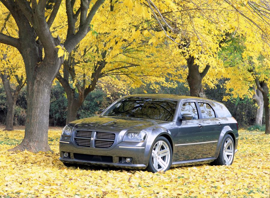  Dodge Magnum SRT8 Concept 2003 года  (фото 13 из 22)